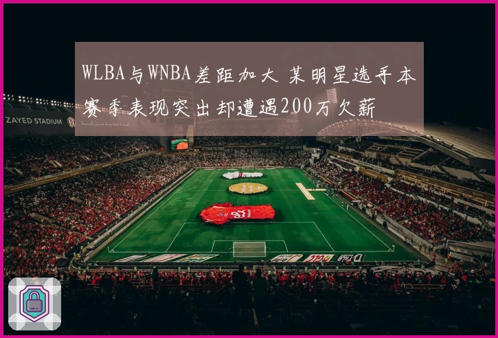 WLBA与WNBA差距加大 某明星选手本赛季表现突出却遭遇200万欠薪